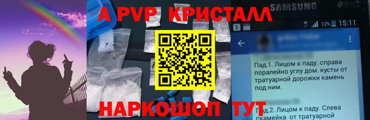 A PVP СК Владимир