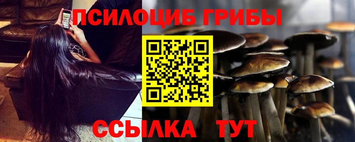 Псилоцибиновые грибы мицелий  Вход с VPN  Владимир 